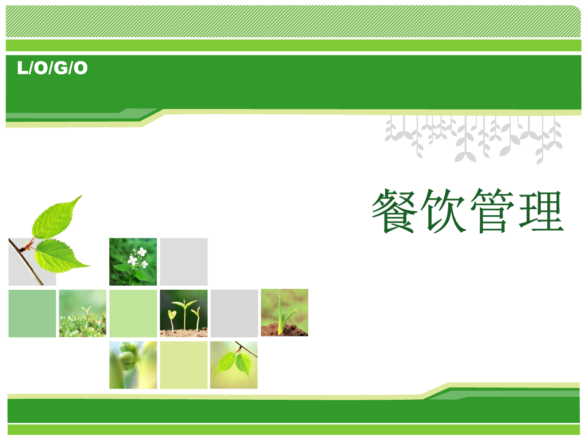 餐饮管理 旅游管理学院核心课程的全景解析