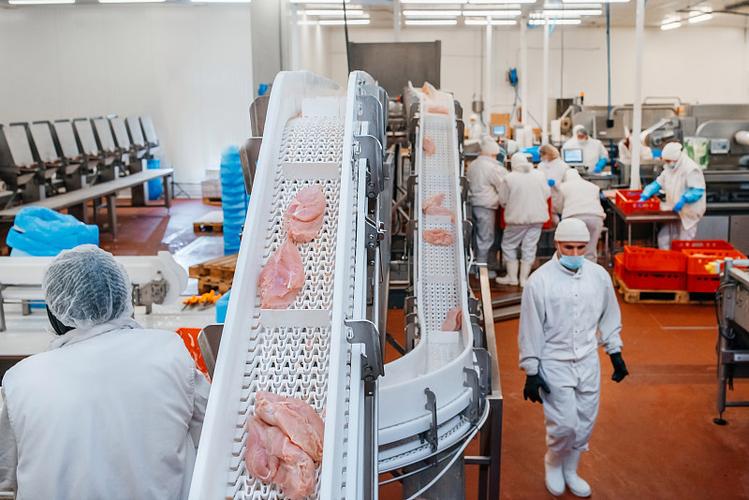 肉类工厂的工业设备.肉类加工厂.在鸡肉工厂工作的人们